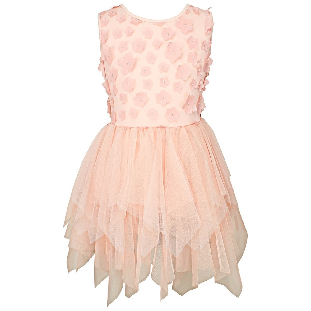 Popatu Floral Appliqué Tiered Tulle Dress